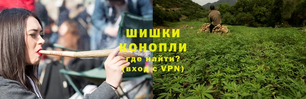 меф Вяземский