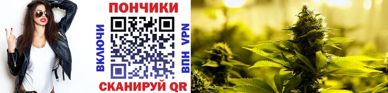 как найти закладки  мориарти официальный сайт  Канабис White Widow  Дрезна 